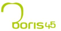 BORIS 45. LOGO