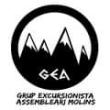 GEA MOLINS. LOGO