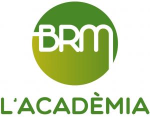 Logo ACADEMIA BRM FORMACIÓN